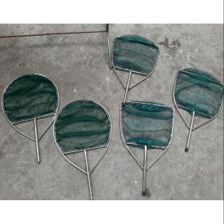 Vợt cá giống