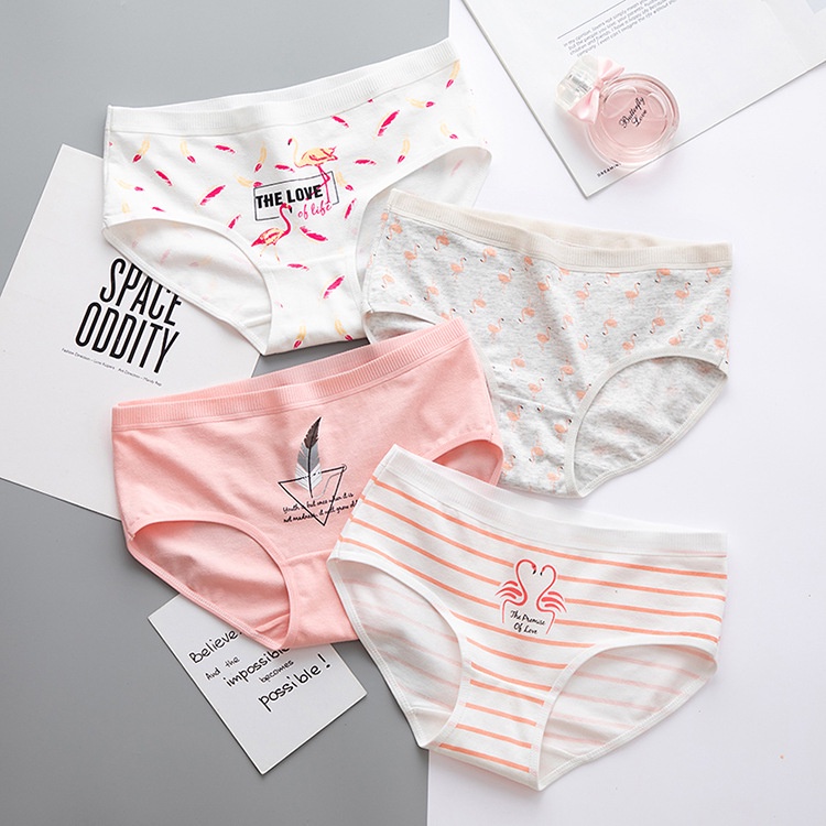 Quần lót nữ cotton mẫu lẻ nhiều họa tiết_NuciFera