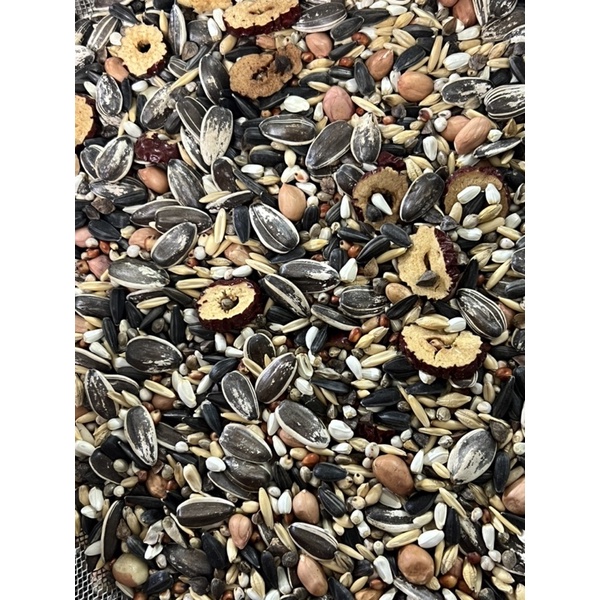 1KG Hạt Trộn Vẹt Trung Và Lớn Xích , Xám , Sun , greencheeck , ringneck , Monk , Lory và các dòng cùng Size