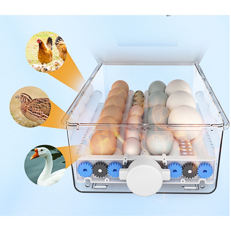 Máy ấp trứng 24 -36 - 48 quả