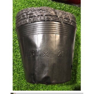 30 TÚI BẦU TRỒNG CÂY HOA ,CÂY CẢNH,CÂY ĂN QUẢ... 21*26