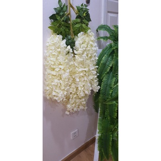 Hoa Tử Đằng giả trang trí