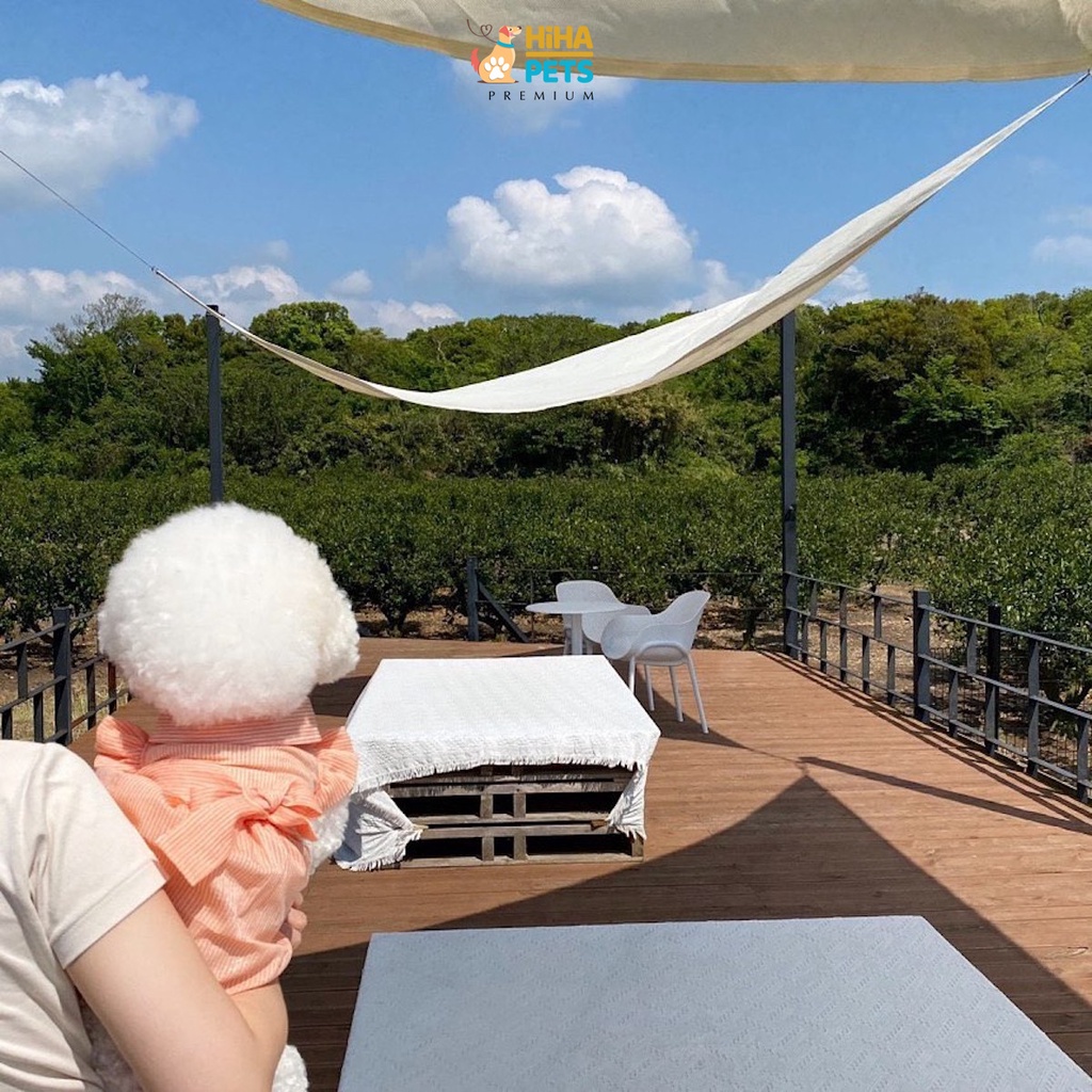 Váy Cho Cún Mèo Dễ Thương Mát Mẻ Mùa Hè Mùa Xuân Quần Áo Thú Cưng Cao Cấp Hàn Quốc Hiha Pets Tông Trắng.