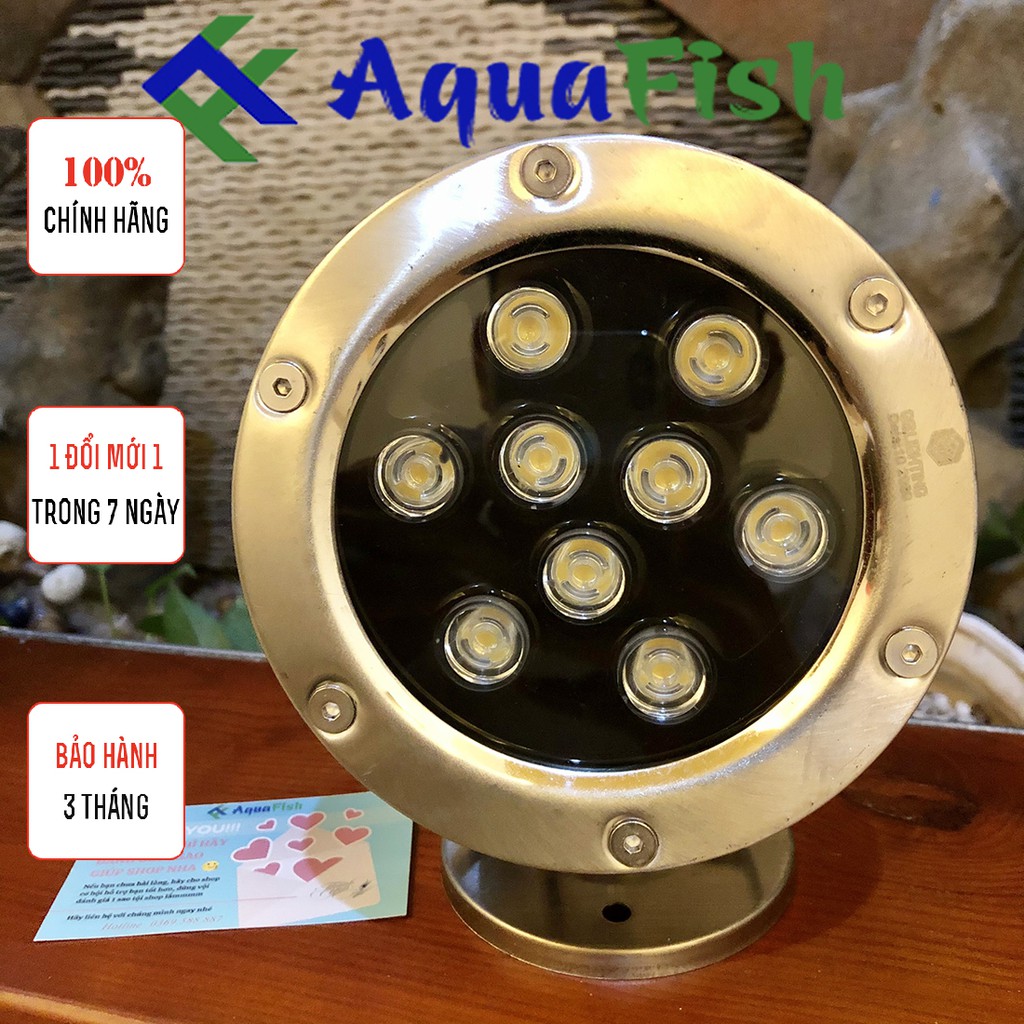 Đèn Âm Nước Chuyên Dụng Dành Cho Hồ Cá Koi, Hồ Cá Ngoài Trời, Hòn Non Bộ