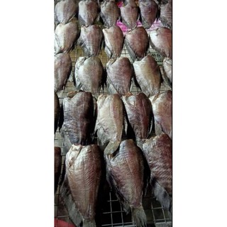 Khô sặc bổi
