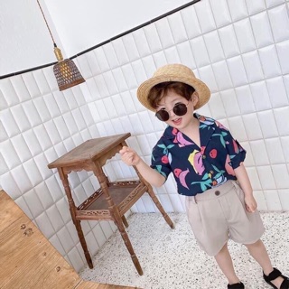 Set áo sơ mi lá + quần đũi cho bé trai
