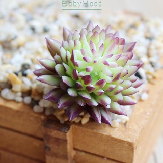 Chậu cây sen đá giả mini trang trí văn phòng
