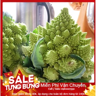 Hạt Giống Súp Lơ San Hô - 10Hạt