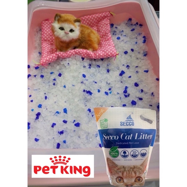 Cát THỦY TINH Secco Silly Cat 5Lít Siêu Rẻ-Siêu Tiết Kiệm- Được Tin Dùng Nhiều Nhất Hiện Nay.