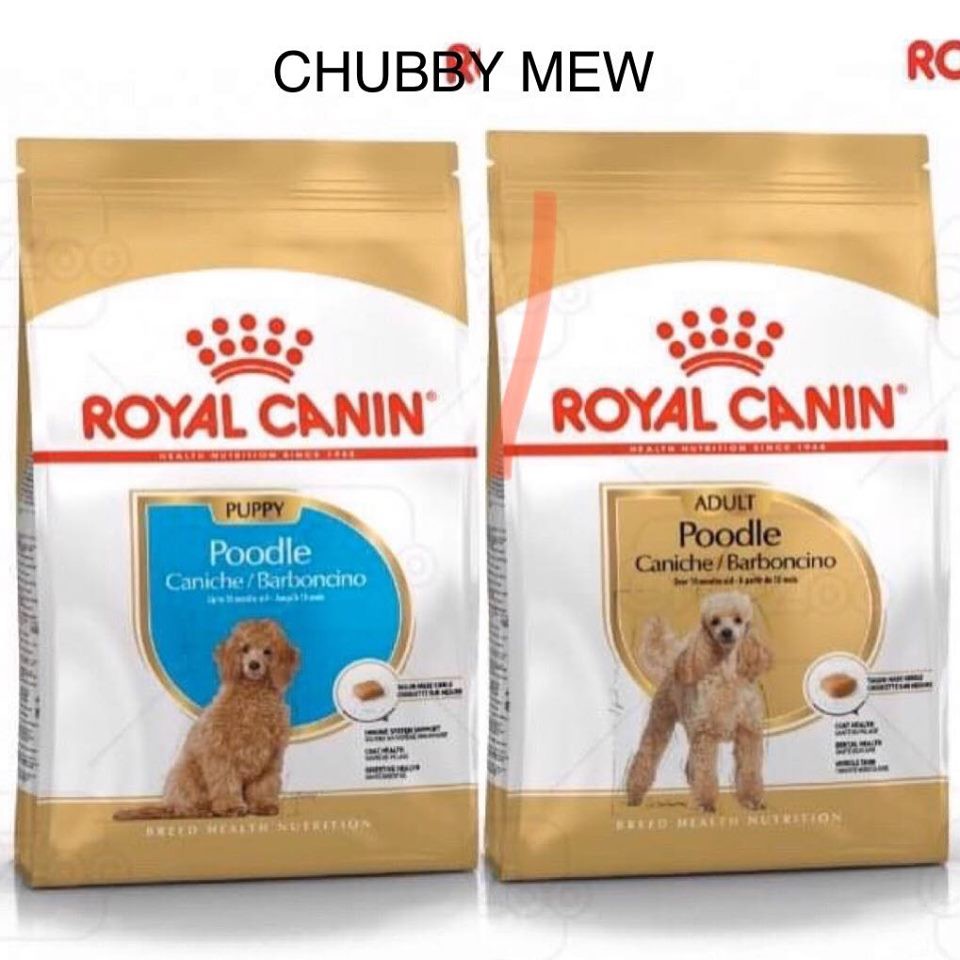 ROYAL CANIN POODLE