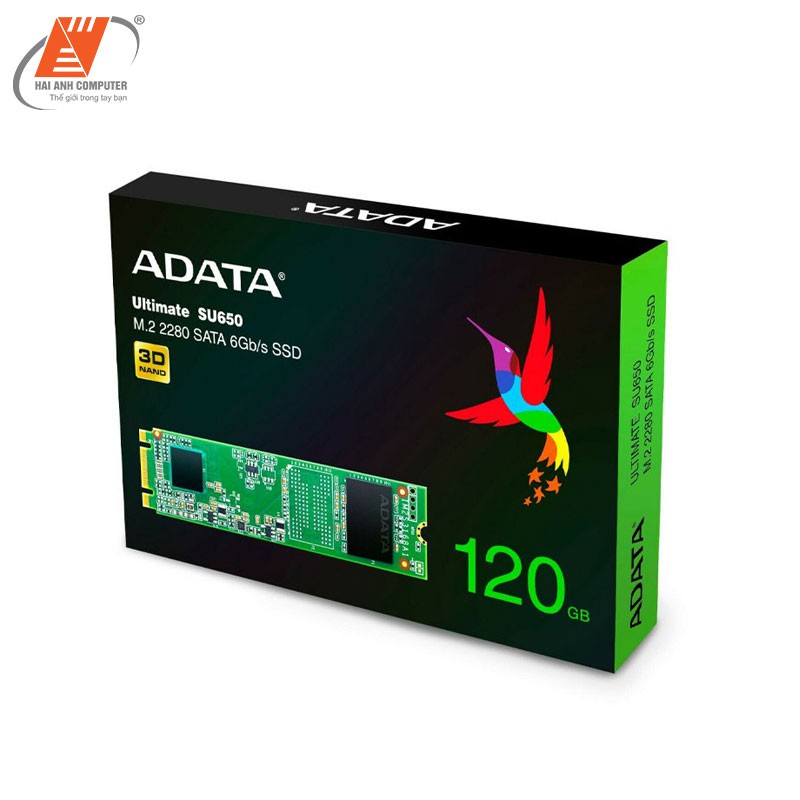 Ổ cứng SSD M2 ADATA SU650NS38 120GB |Tốc độ đọc 550Mb/s - Tốc độ ghi 510Mb/s - Hàng chính hãng