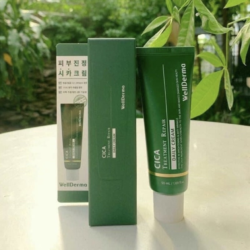 Kem dưỡng phục hồi làm dịu da B5 Cica Treatment Repair Daily Cream Wellderma Hàn Quốc