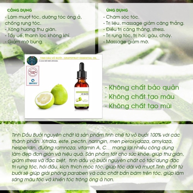 Tinh Dầu Vỏ Bưởi 10ML Nguyên Chất Organic [ Grapefruit Essential Oil ] | BigBuy360 - bigbuy360.vn