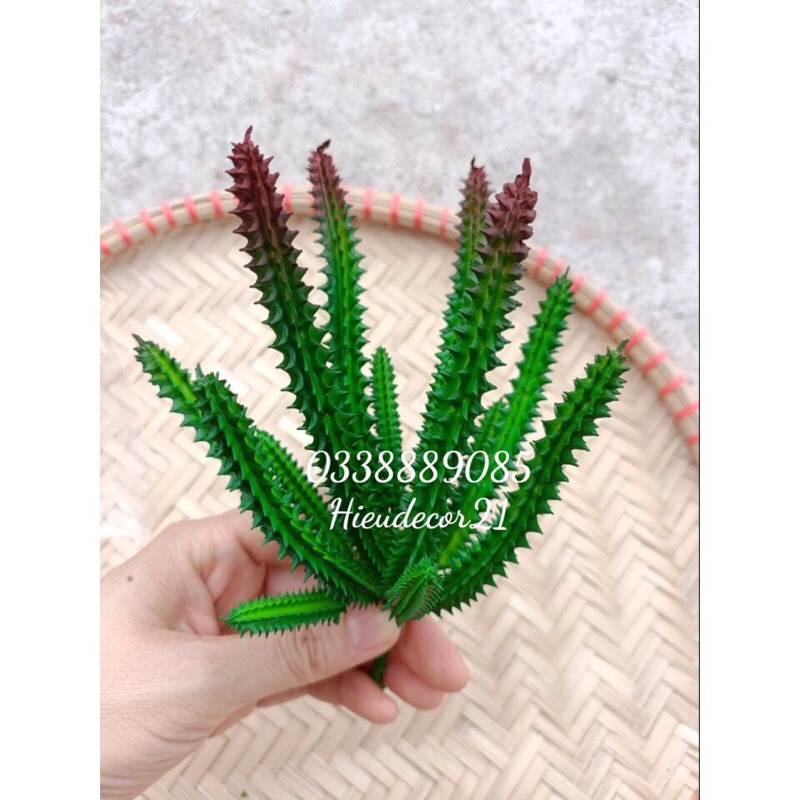Cây xương rồng giả trang trí derco siêu xinh - đủ màu, hàng sẵn kho ạ