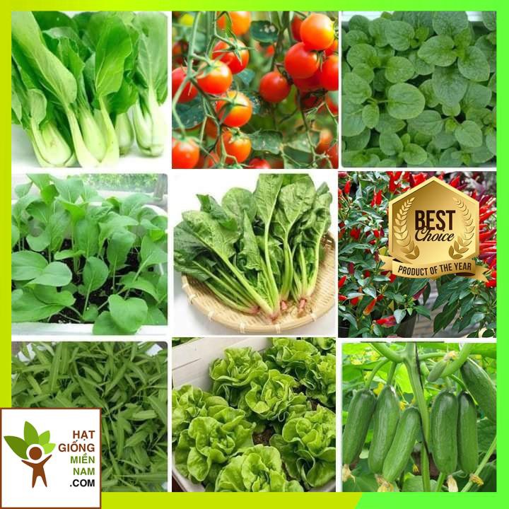 Combo 10 LOẠI HẠT GIỐNG rau củ quả dễ trồng, dễ chăm sóc tại nhà