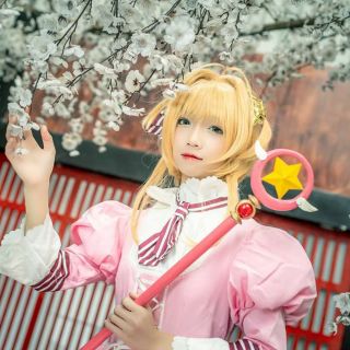 Set trang phục cosplay Kinomoto Sakura