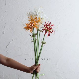Hoa lụa - Bỉ ngạn hoa (ảnh thật)
