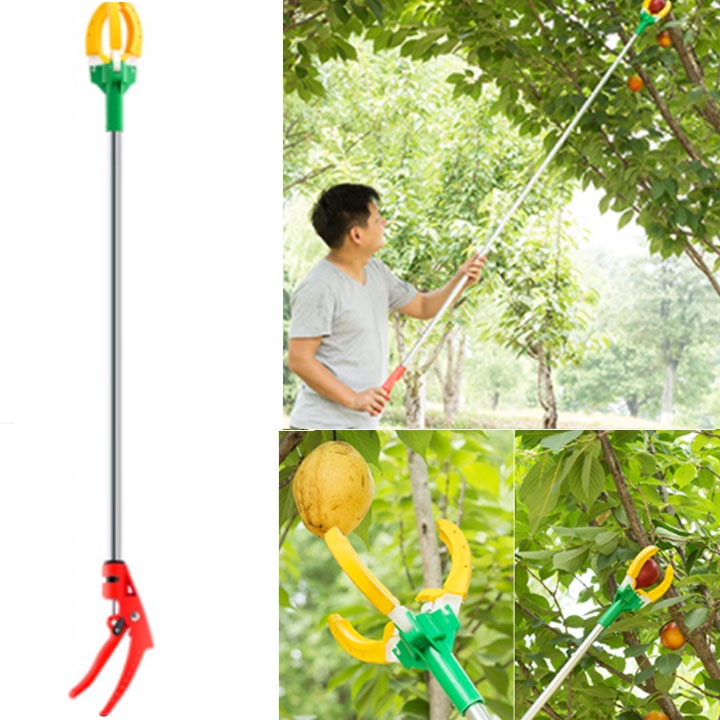 Dụng Cụ Hái Quả, Thu Hoạch Trái Cây Trên Cao 1.5M- NNTM