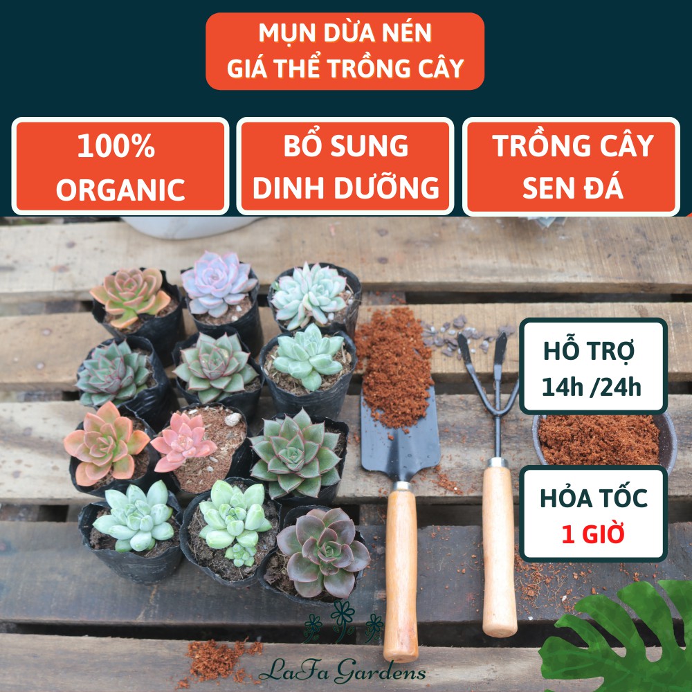 Đất hữu cơ ép bánh, Combo 4 bánh nén hữu cơ trồng cây sân thượng