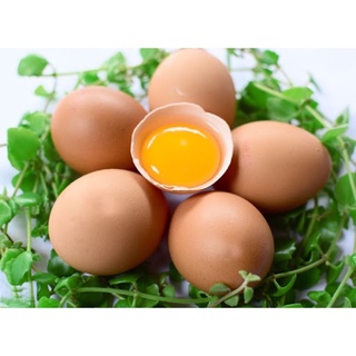 Trứng gà tươi vĩ 10 trứng