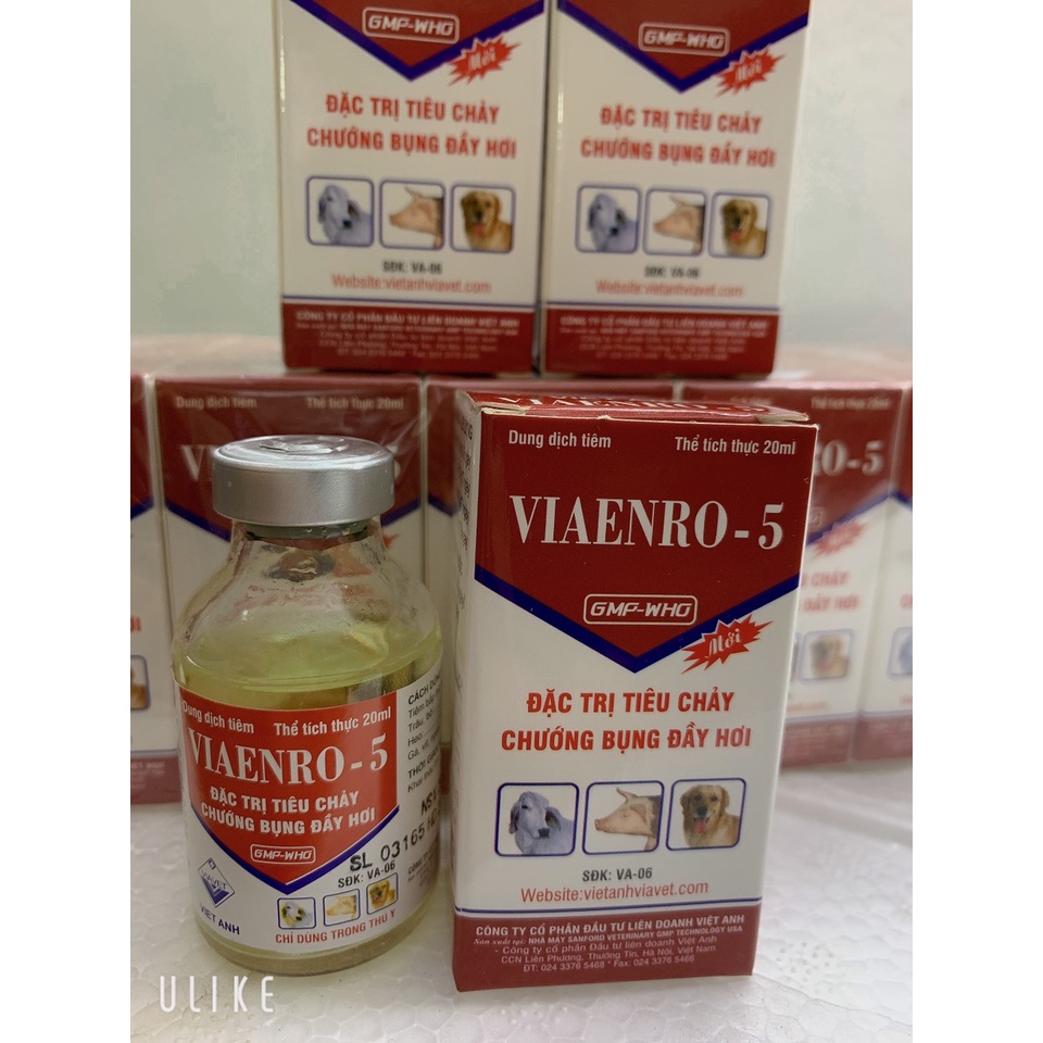 Chướng Bụng Đầy Hơi VIAENRO - 5 20ml Tiêu Chảy, Phân Trắng, Phân Vàng, Phân Màu Xi Măng, Phân Bùn, Thương Hàn Enro 5