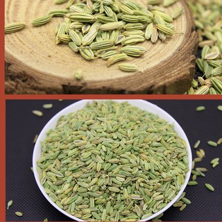 Tiểu Hồi 100g - Đông y chấn hưng long