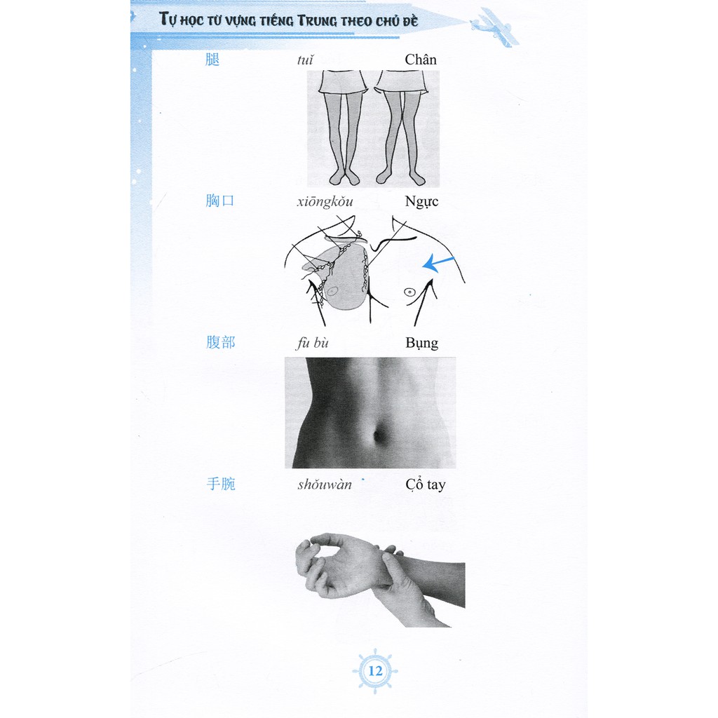 Sách - Tự học từ vựng tiếng Trung theo chủ đề