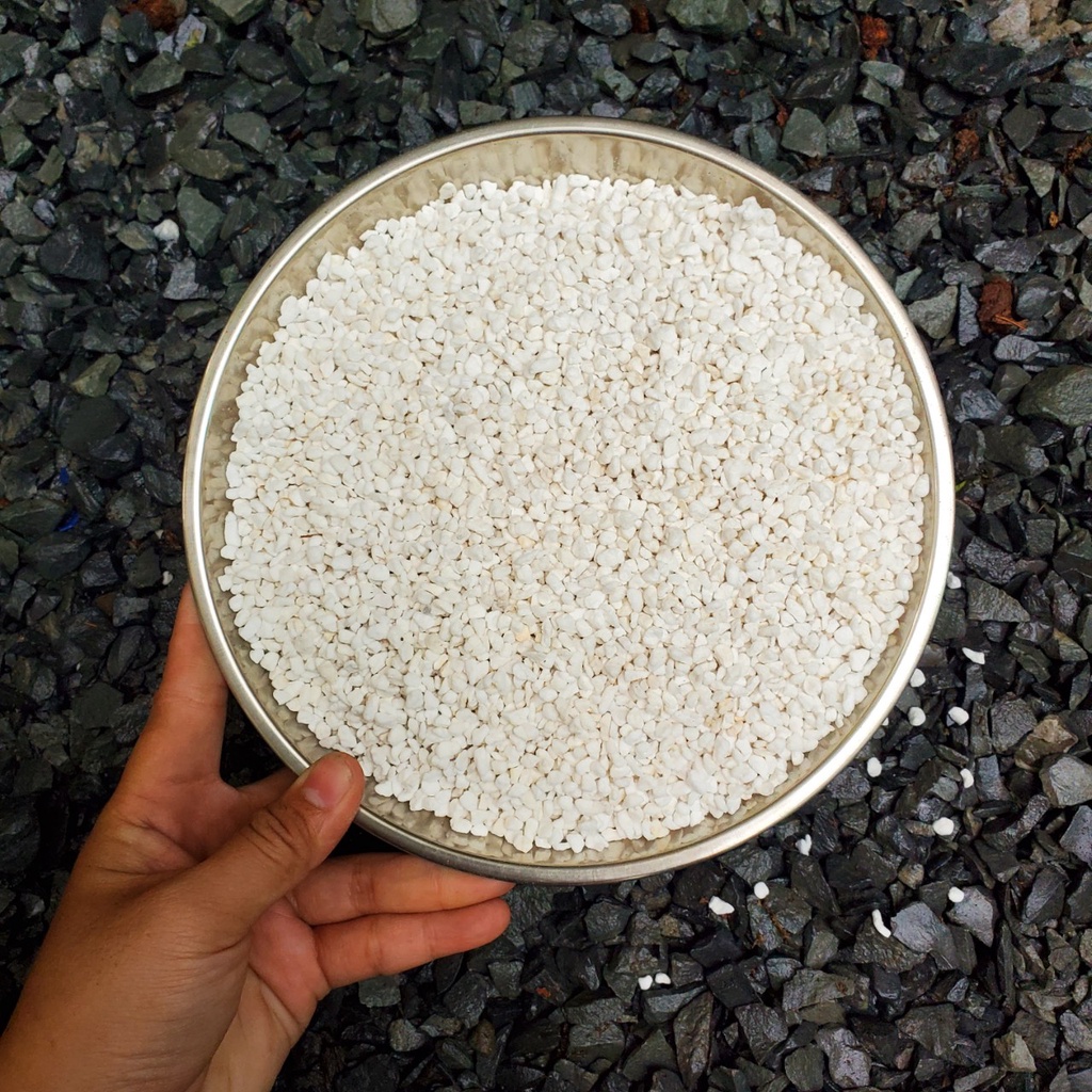 Đá Trân Châu Perlite giá thể trồng kiếng lá, xương rồng, sen đá - bọc 500g