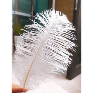 Lông vũ chụp ảnh mẫu móng, dụng cụ chụp ảnh mẫu nail - Ann933233