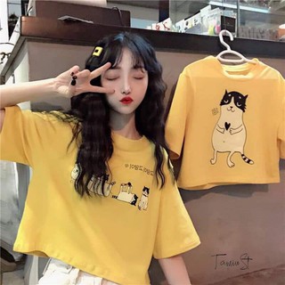 Áo thun nữ | Áo croptop tay lỡ mèo vàng