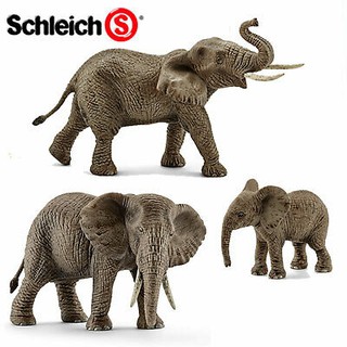 Đồ chơi Schleich Đức - Voi Châu Phi - Mã Sp 14761, 14762, 14763
