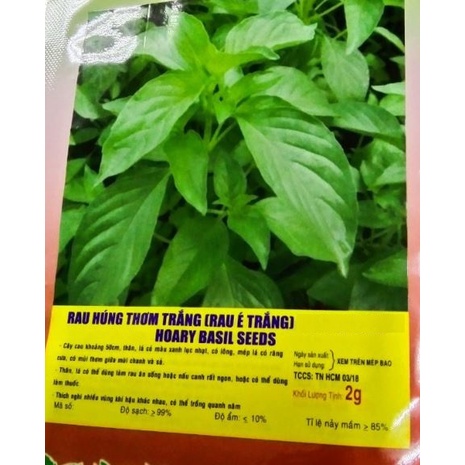 Hạt Giống Rau Húng Thơm Rau É Trắng - Gói 2 Gram