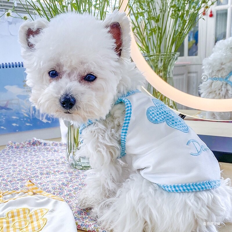 Áo hai dây thêu chữ Daisy cho chó mèo - Áo ba lỗ cho chó mèo - Quần áo thú cưng