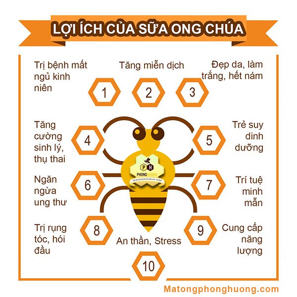 Sữa ong chúa tươi nita lọ 100gam