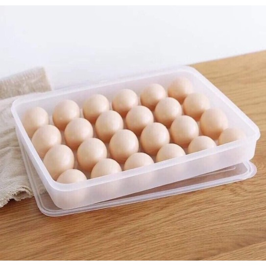 Khay đựng trứng 24 quả Song Long - nhựa cao cấp, an toàn cho sức khỏe, CORBIN_STORE