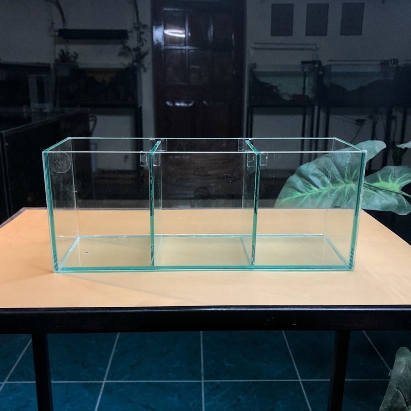 Bể cá betta D30xR10xC12cm 3 ngăn