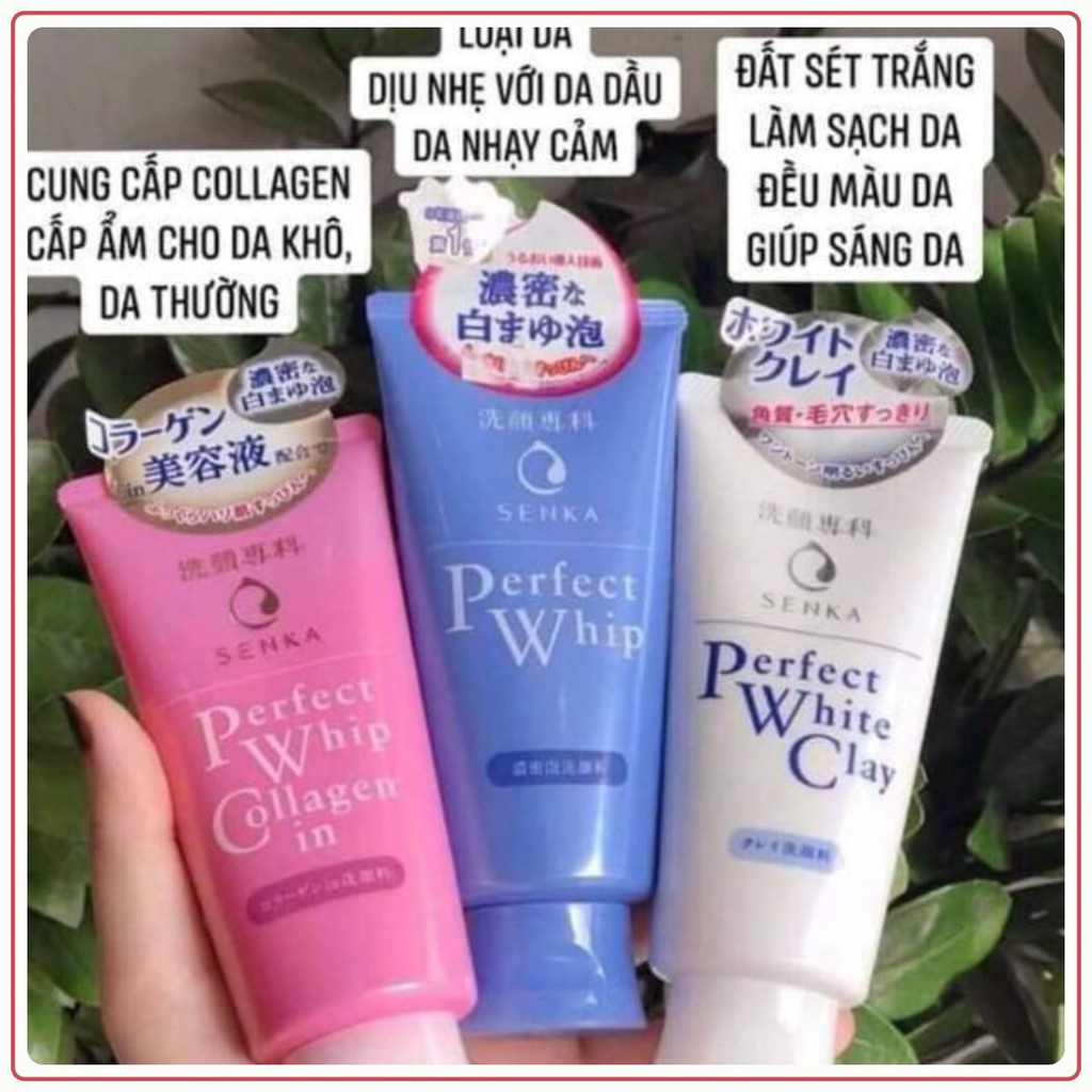 Sữa Rửa Mặt Tạo Bọt SENKA 120g Perfect Whip Facial Foam Wash Chuẩn Nhật Bản