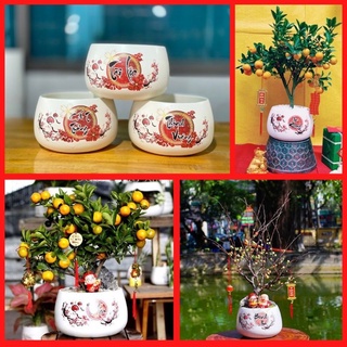 Chậu hoa tết in hình tài lộc thịnh vượng như ý cát tường size 19x14cm mã GD01