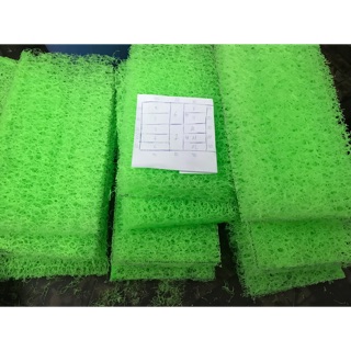 Bùi nhùi cao cấp Mountain tree