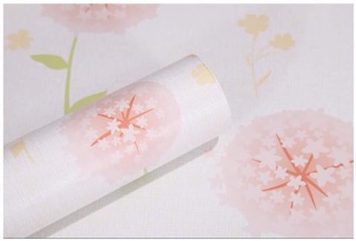 Combo Decal cuộn dán tường 
