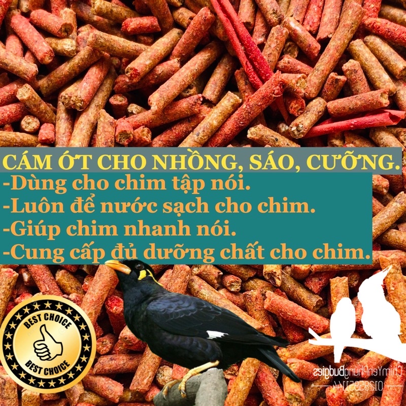 1kg cám ớt cho Nhồng, Cưỡng, Sáo tập nói - thức ăn chim.