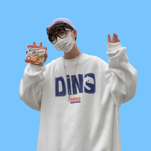 Áo sweater, áo nỉ in hình họa tiết chữ DINO trước ngực form unisex nam nữ mặc đều được