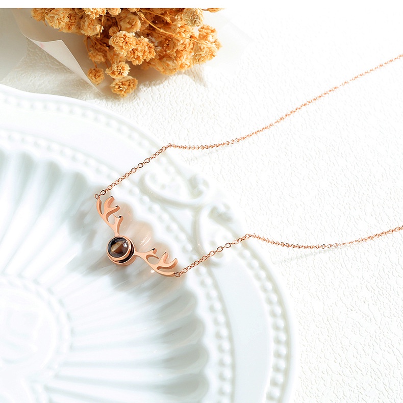 Dây chuyền titan sừng hươu TT2602  - CAM KẾT KHÔNG GỈ, KHÔNG BAY MÀU - BẢO HÀNH 12 THÁNG.