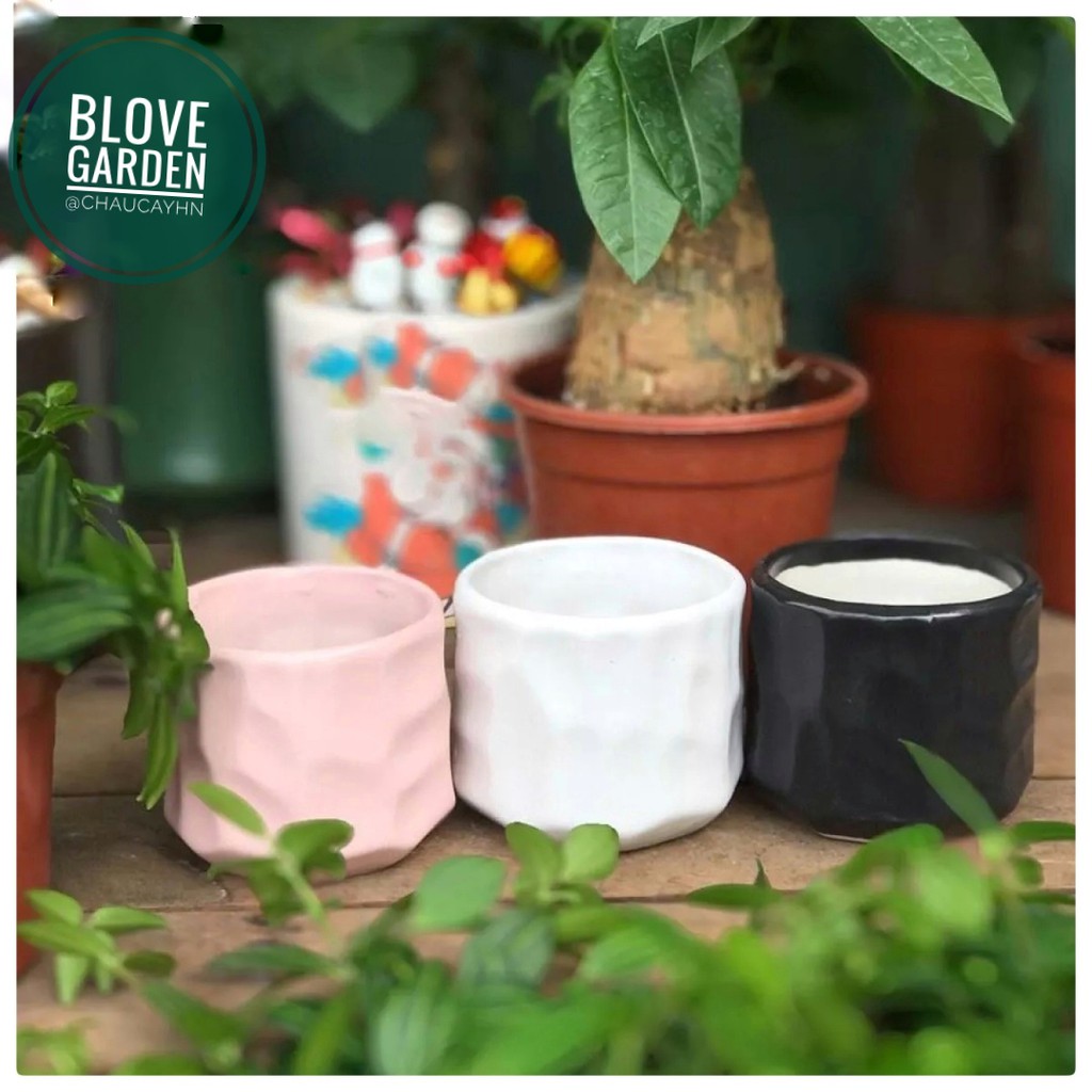 Chậu sứ Bát Tràng Hình mắt na trồng sen đá xương rồng,cây văn phòng, Decor Trang trí nhà cửa cực xinh sắn