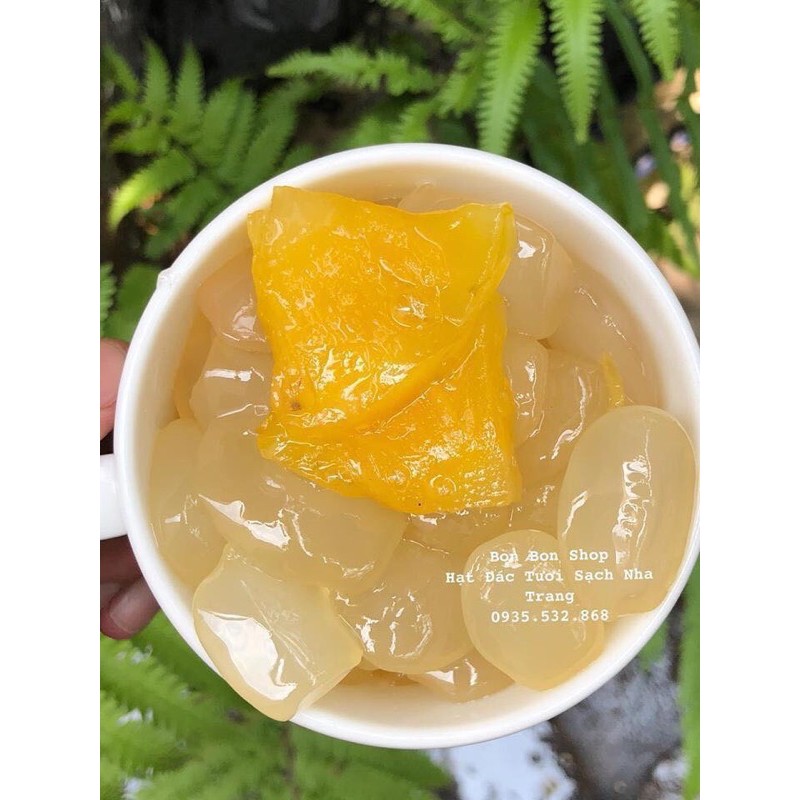 1kg đác tươi sạch nha trang loại lớn ngon | BigBuy360 - bigbuy360.vn