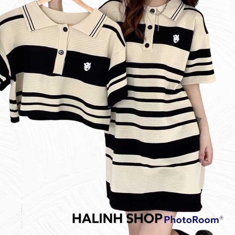 Váy Đầm Nữ Polo - Halinh Shop - Váy Suông Cổ Bẻ Chất Liệu Len Tăm Kẻ Be Sọc Đen Khuy Cổ Mặc Mùa Hè Thu