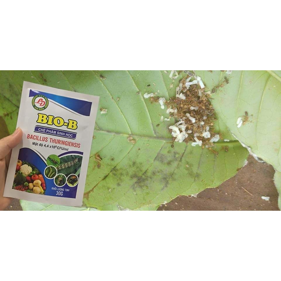 Chế phẩm vi sinh phòng diệt sâu, nhện đỏ, bọ trĩ, sùng đất... sinh học BIO-B