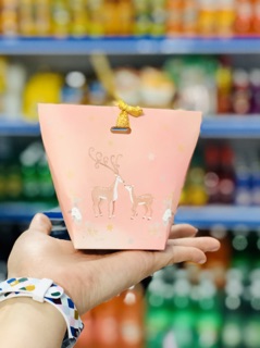 Túi giấy nhỏ để quà noen