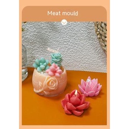 Khuôn Silicone Tạo Hình Làm Xà Phòng Hình Cây Xương Rồng DIY