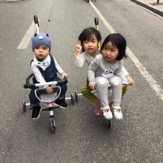 Xe đẩy siêu thị 3 bánh